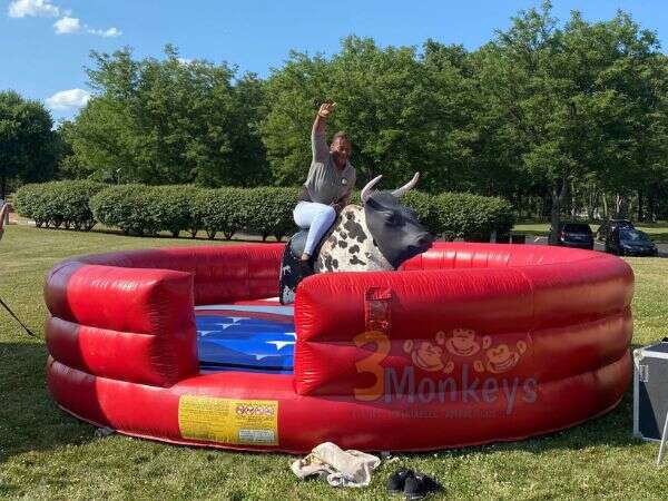 Baltimore County Mechanical Bull Rentals