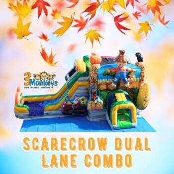 Water Slide Fun | 3 Monkeys Inflatables