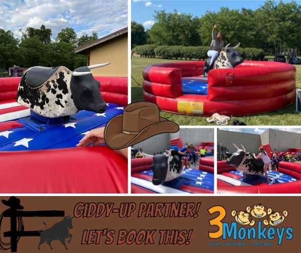 Book the Dover Mechanical Bull Rental