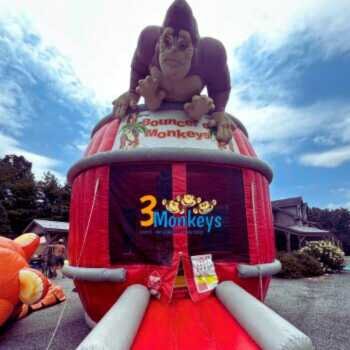 Barrel of Monkeys Bouncer