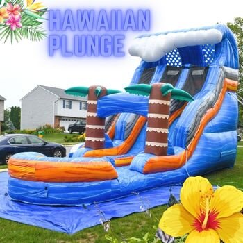Hawaiian Plunge Water Slide
