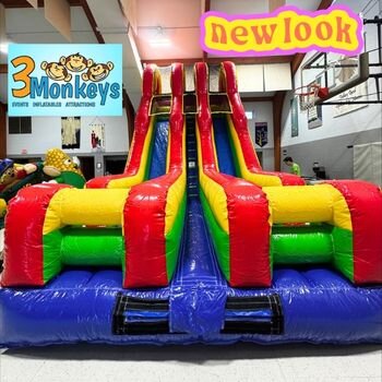 18 ft Double Lane Dry Slide (#16)