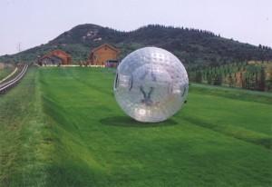 Zorb (hamster) Balls (set of 2) (#38)