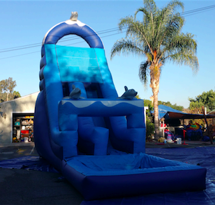 Dolphin Water Slide - Large