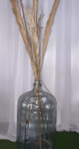 Glass Jug (large) w/ pampas