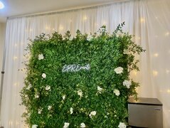 green wall with draping package 