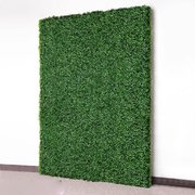 Green Hedge Wall 