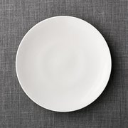Plane Dinner Plate 