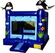 Geneva 15x15 BOUNCE HOUSES FOR RENT