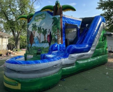 Tropical Bounce House Rentals Dupage County