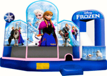 #52 Frozen Bounce House 5in1 Dry/Wet Slide rental in Chicagoland IL