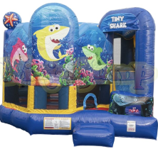 Widthy 20" X Height 20" water slide for rent near naperville illinois