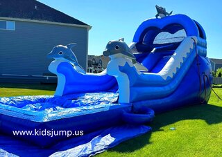 rent a Dolphin Dry Slide in Wheaton, IL,