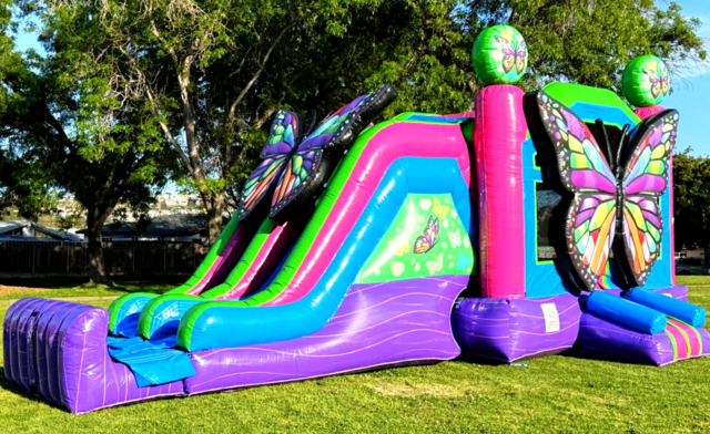 3D-Butterfly-Pool-Stopper-Combo