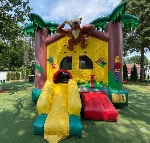 17-Jungle-Mini-Slide-Bounce-House-15x15