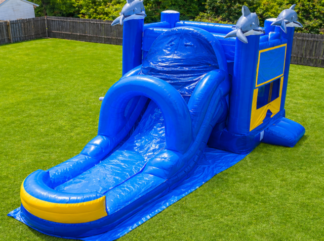 502-Dolphin-Wet-Dry-Bounce-Slide