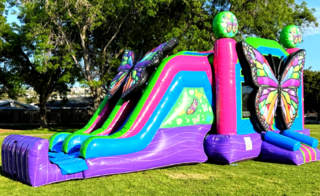 3D Butterfly Pool and Stopper LG Combo