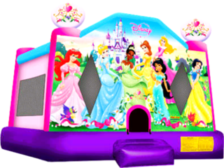 #24 Disney World Princess Bounce House16X17