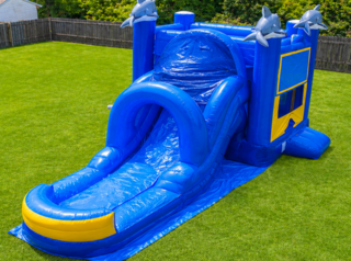 502 Dolphin Wet/Dry Bounce Slide
