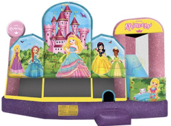 #501 Princess Bounce House Combo 5x1