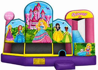 #501 Princess Bounce House Combo 5x1