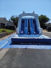 Dolphin Double Slide Water Slide