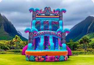 Hibiscus Splash Dual