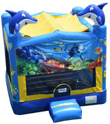 Pacific Bouncer & Blue Yard Sign Package