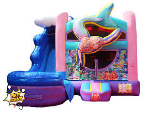 <small>156 - 16x18 Mermaids Jump and Big Slide</small><BR><BR>