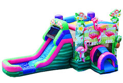 168 - 13x31 Flamingo Jump and Big Slide