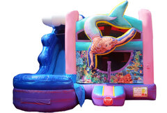 156 - 16x18 Mermaids Jump and Big Slide