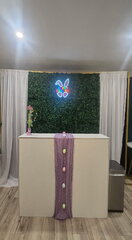 Backdrop Decoration Kit