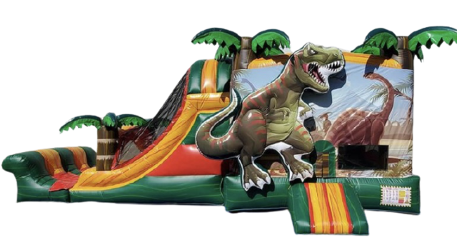 3D T-Rex Dinosaur Combo Dry