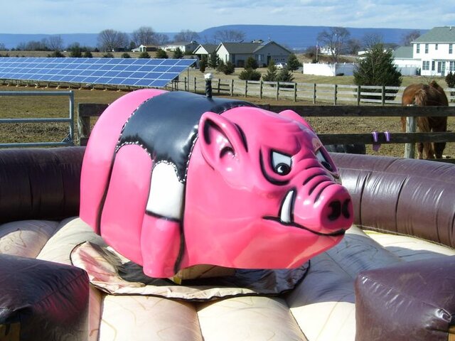 Harley the Mechanical Hog