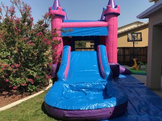 Princess Castle Combo Waterslide