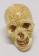 Mini Plastic Skulls