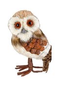 Owl Prop