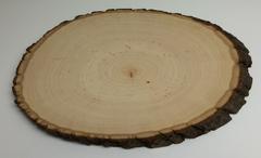 Large Rustic Wood Slices