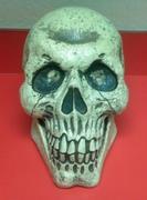 Large Plastic Skulls