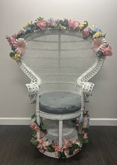 Peacock Chair
