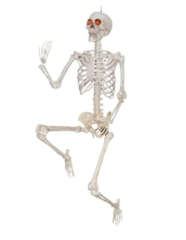 Posable Life-Size Halloween Skeleton