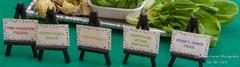 Mini Easel with customized sign