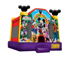 Mickey Mouse Rental