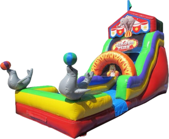 18 ft Circus Water Slide Rental