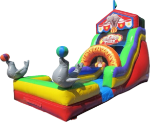 18 ft Circus Water Slide Rental