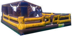 Mechanical bull rental