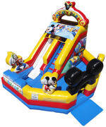 Mickey Park Junior Slide With Pool