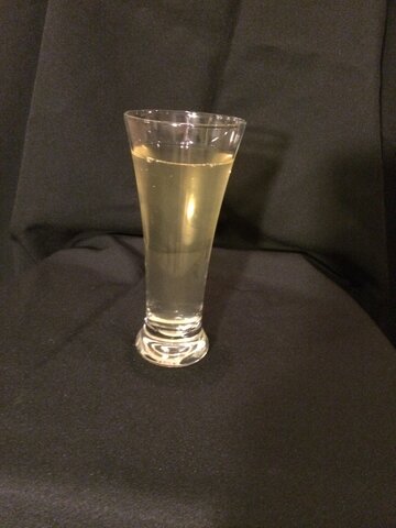 PILSNER GLASS