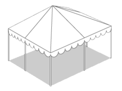 20 X 20 WHITE CANOPY