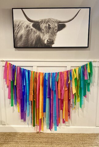 Fiesta Fringe Party Decoration - Purchase